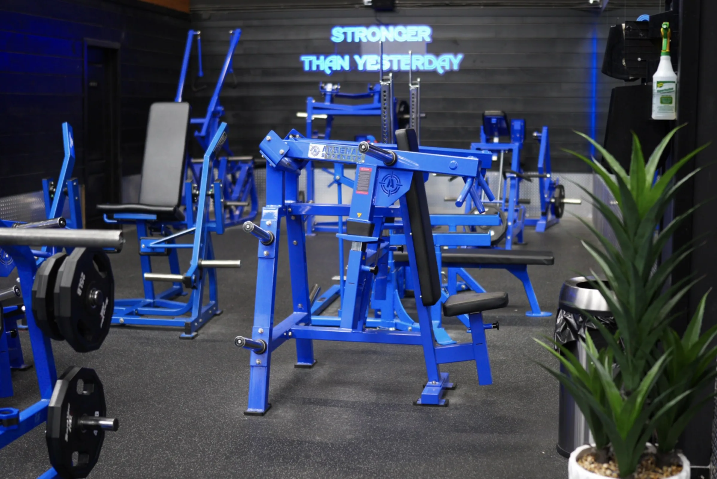 TeamYou HQ gym interior