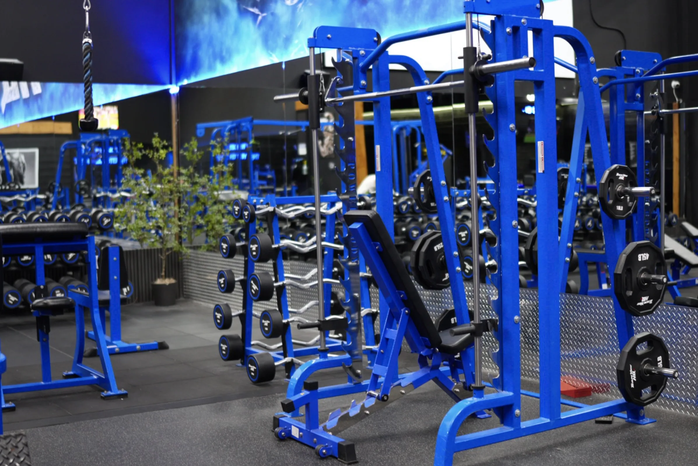 TeamYou HQ gym interior
